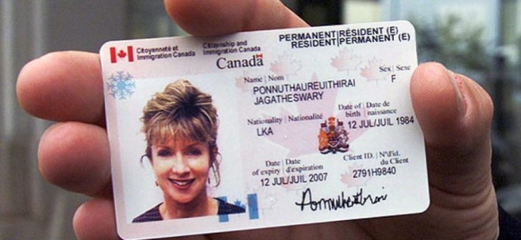 Moving To Portugal With A Pet Moving To Portugal With A Pet