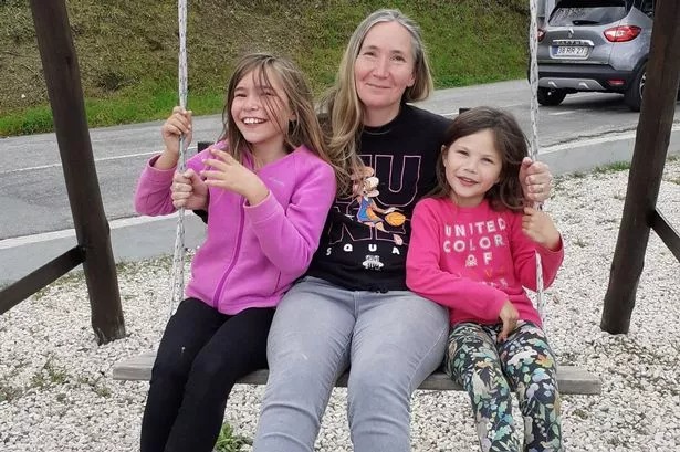 Transferring To Portugal With Pets In 2025 Information Transferring To Portugal With Pets In 2025 Information