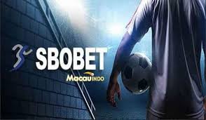 Taruhan Bola Online Panduan Lengkap untuk Pemula